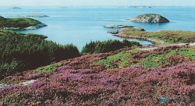 Острова, которые, можно, купить, недвижимость, стоимость