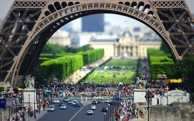 психология, наука, эффекты восприятия