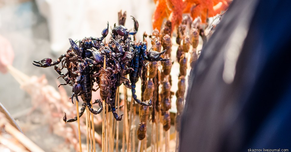 Китайские деликатесы, еда, жареные кузнечики, скорпионы