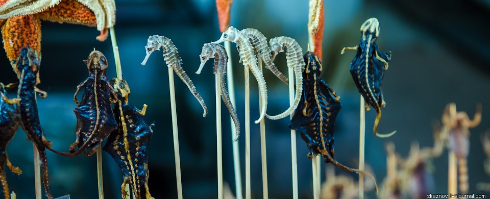 Китайские деликатесы, еда, жареные кузнечики, скорпионы