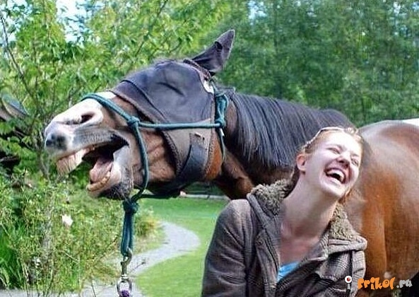 в нужный момент, поймать кадр, лови момент