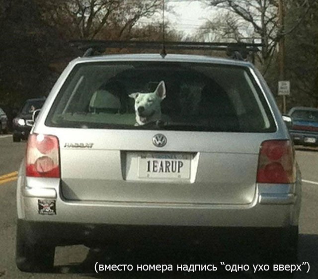 в нужный момент, поймать кадр, лови момент