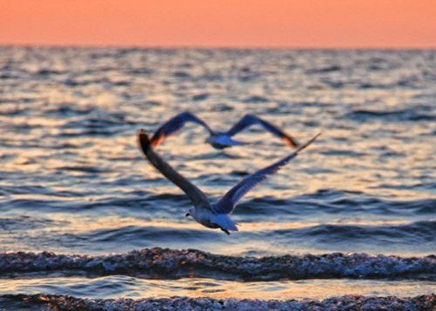 в нужный момент, поймать кадр, лови момент