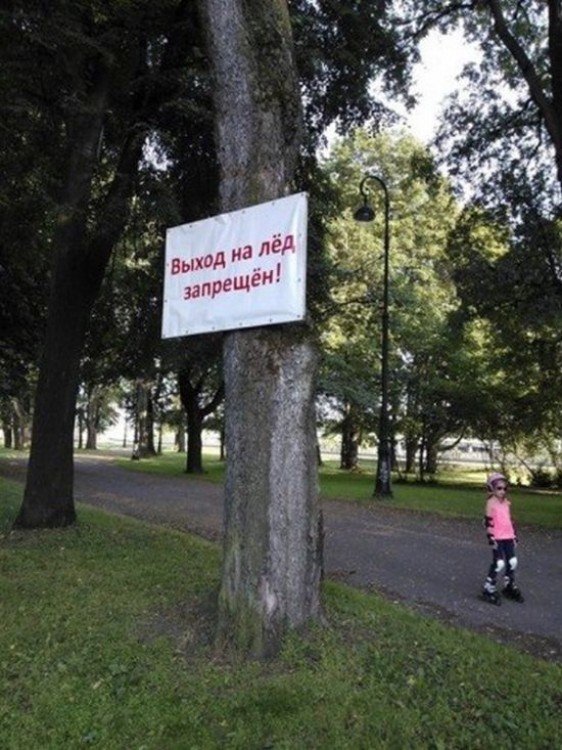 маразмы, объявления, смешные надписи, прикол