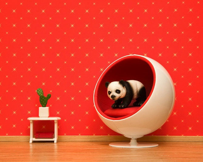 Тайная, жизнь, игрушки, фотограф, Джефф Фризен, Jeff Friesen