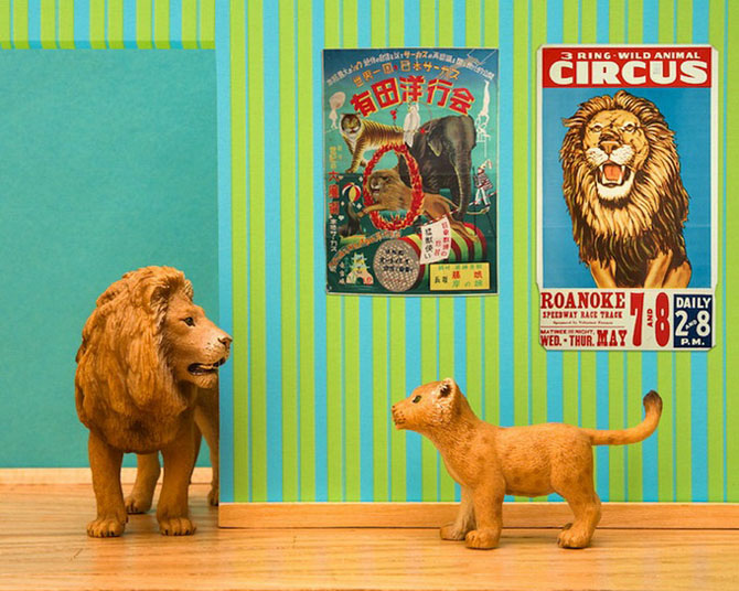 Тайная, жизнь, игрушки, фотограф, Джефф Фризен, Jeff Friesen