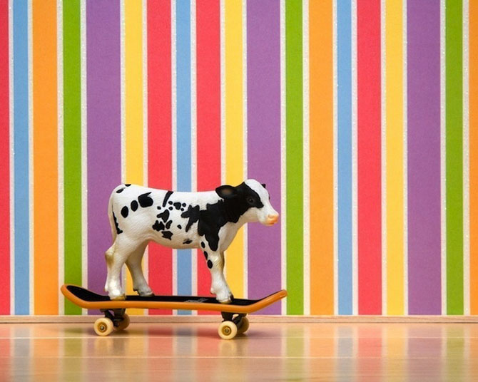 Тайная, жизнь, игрушки, фотограф, Джефф Фризен, Jeff Friesen