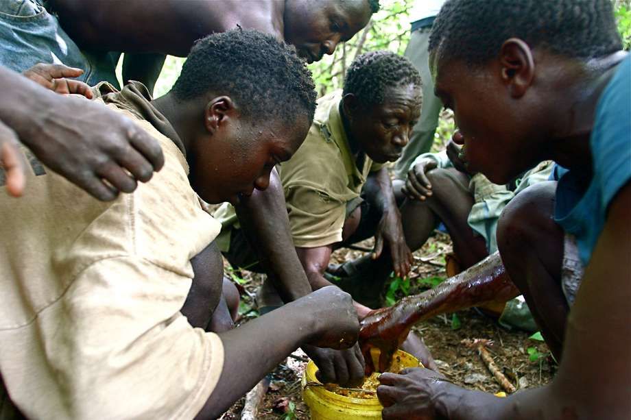 навыки, умения, племенные народы мира,племя