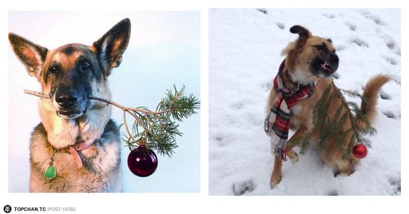 почти получилось, ожидание и реальность, nailed it