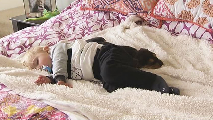 Тео и Бо – два малыша, которые любят поспать theo and beau,Тео и Бо, сони,щенок,ребёнок