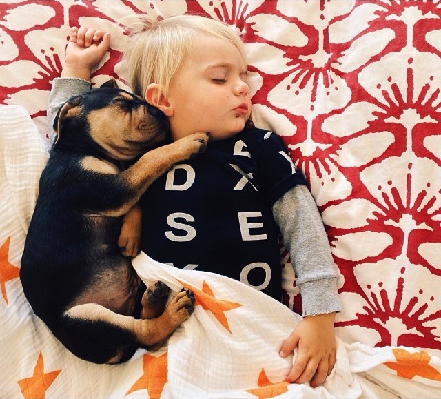 Тео и Бо – два малыша, которые любят поспать theo and beau,Тео и Бо, сони,щенок,ребёнок