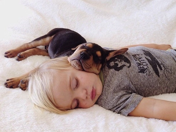 Тео и Бо – два малыша, которые любят поспать theo and beau,Тео и Бо, сони,щенок,ребёнок