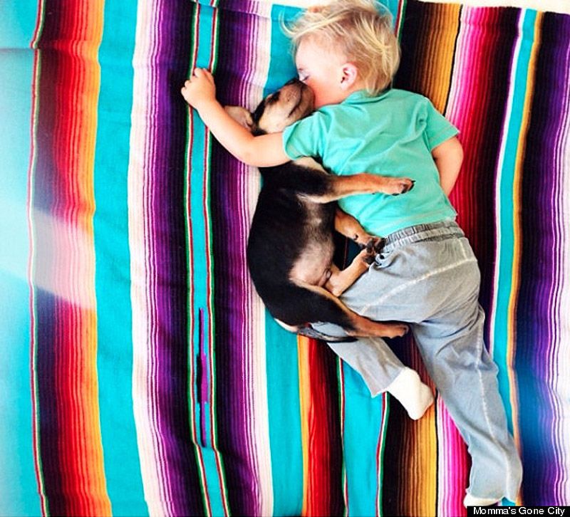 Тео и Бо – два малыша, которые любят поспать theo and beau,Тео и Бо, сони,щенок,ребёнок