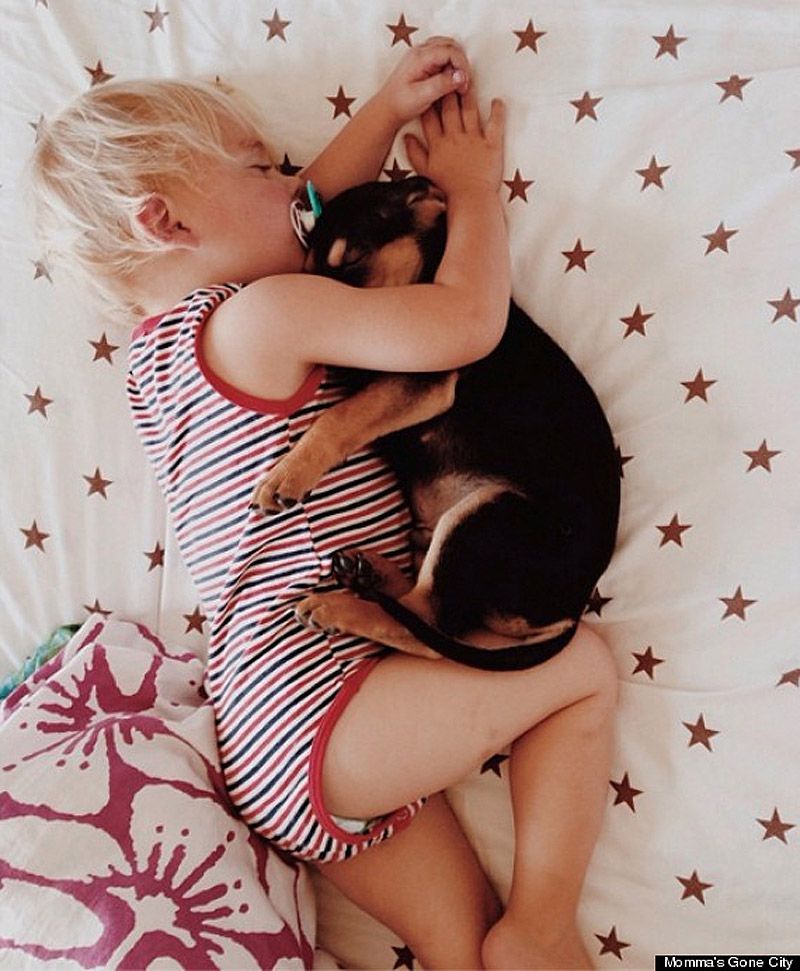 Тео и Бо – два малыша, которые любят поспать theo and beau,Тео и Бо, сони,щенок,ребёнок