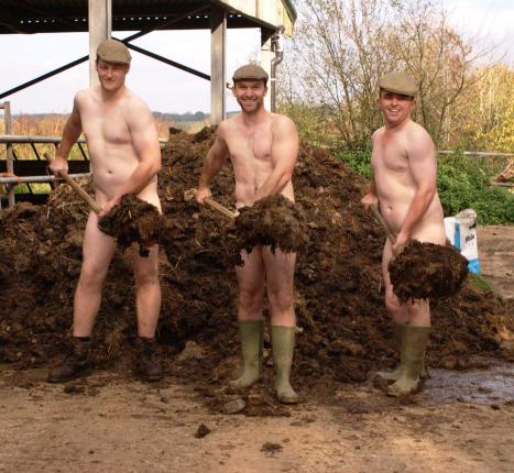 Календарь, Голый, молодой, фермер, 2014