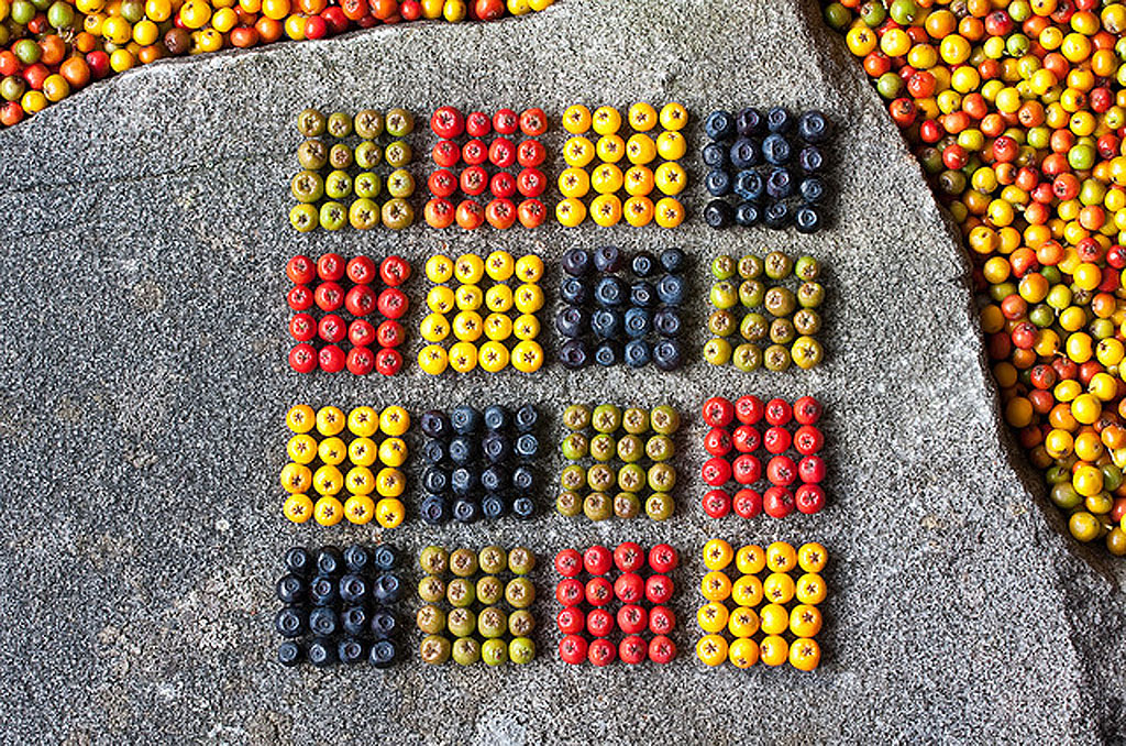 Лэнд, арт, работы, искусство, фото