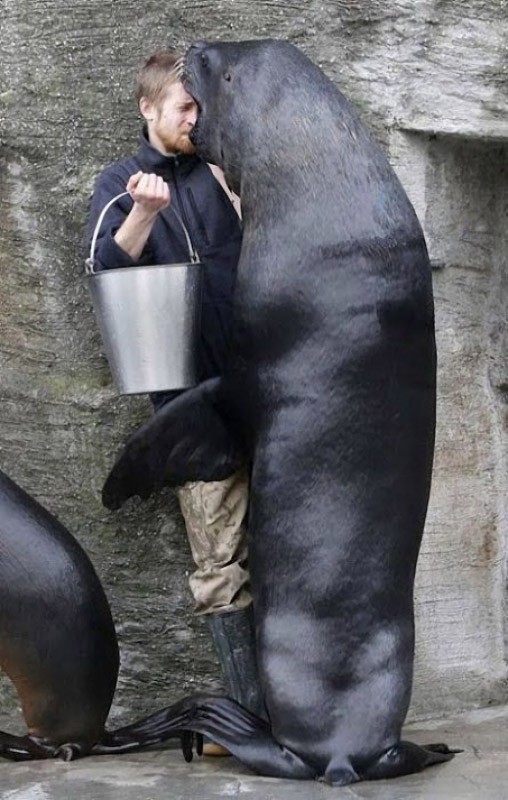 неудачный поцелуй, неловкий, поцелуи звёзд