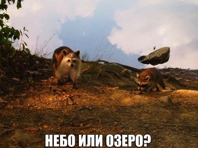 фотоиллюзии, необычные иллюзии, обман зрения 