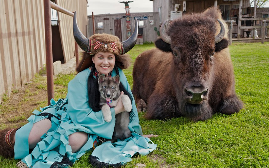 Бизон,домашнее животное, Заклинатель Буффало, Ричард бриджес
