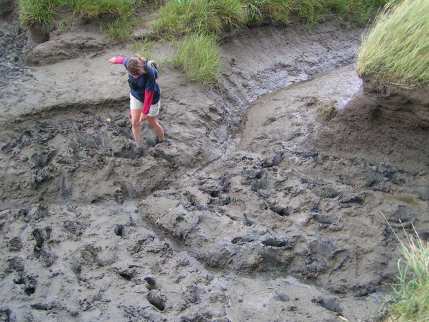 Экскурсия, 12, таинственные, загадочные, затопленные, городам, поглощенные