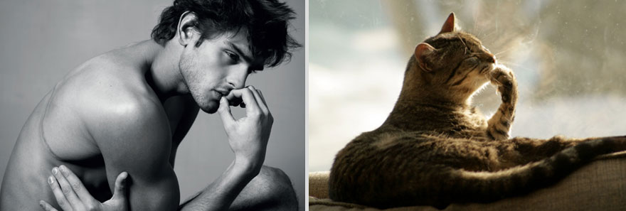 парни как котики,коты и кошки,мужчины