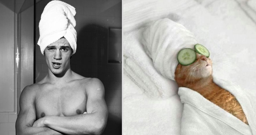 парни как котики,коты и кошки,мужчины