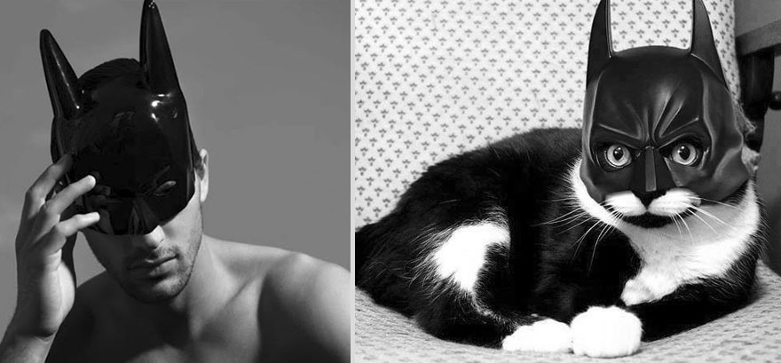 парни как котики,коты и кошки,мужчины