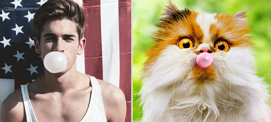 парни как котики,коты и кошки,мужчины