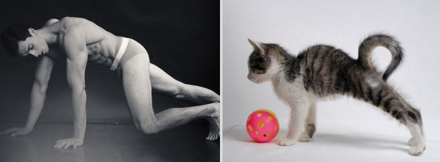 парни как котики,коты и кошки,мужчины