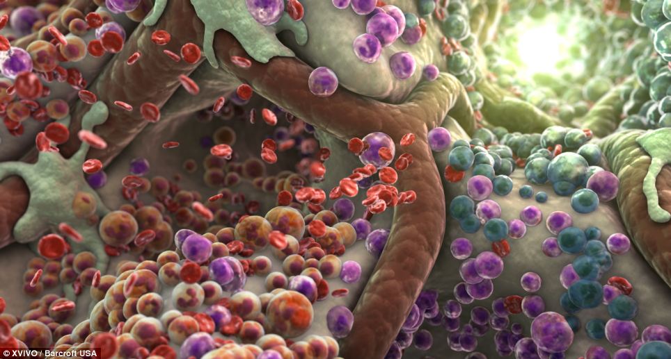 Фантастический мир внутри человека Фантастический мир, внутри человека, XVIVO , анимационная студия, науучная