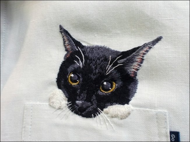 Дресс-кот: карманные котята Хироко Кубота Дресс-кот, карманные котята, Хироко Кубота, hiroko kubota