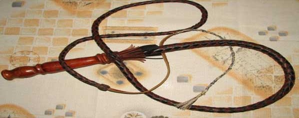 заблуждения люди,дети памперсы желтые зубы нельзя змеи перчатки