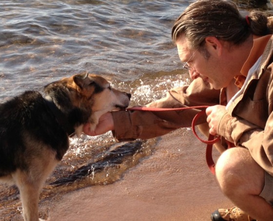 Умерла собака, чья история тронула весь мир john, shoep, собака, артрит, дружба