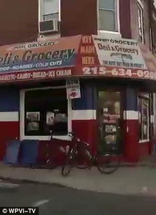 История, котенок, Джастин, Justin,подожгли, помощь животные