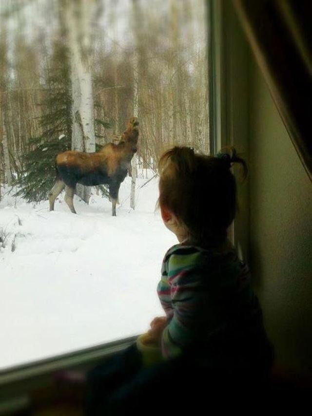 трогательные фото, волнующие снимки, эмоциональные фотографии
