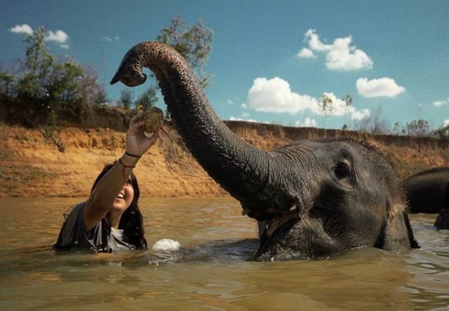 трогательные фото, волнующие снимки, эмоциональные фотографии