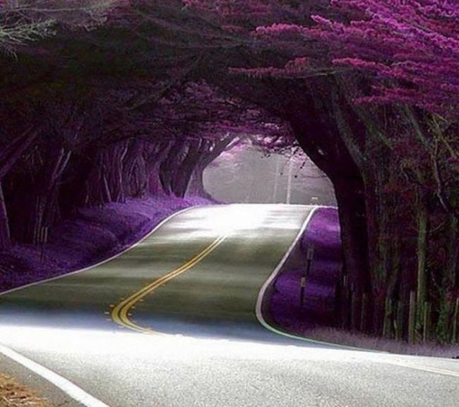 трогательные фото, волнующие снимки, эмоциональные фотографии