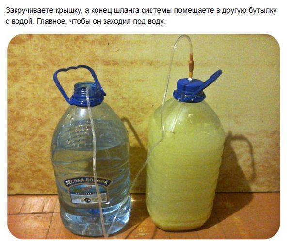 Имбирный эль, в домашних условиях,рецепт,напиток