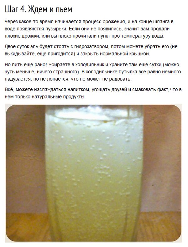 Имбирный эль, в домашних условиях,рецепт,напиток