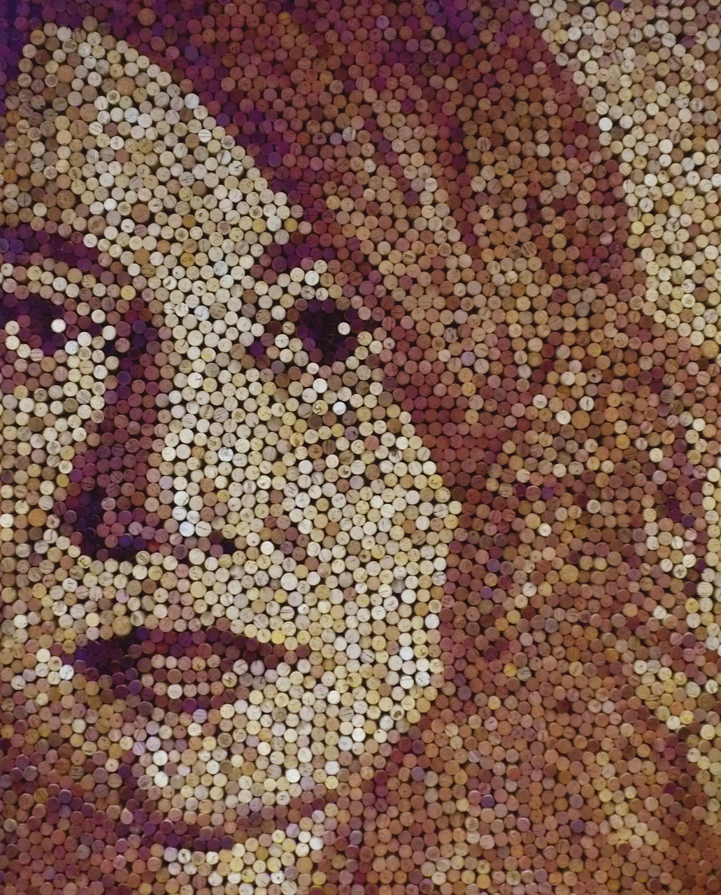 Портреты, винные пробки, Скотт Гандерсен, Scott Gundersen