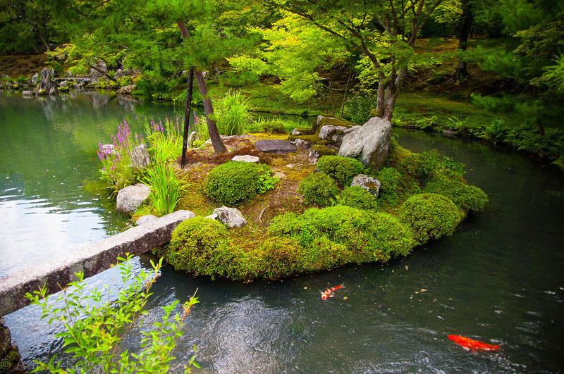 сады замка нидзё япония