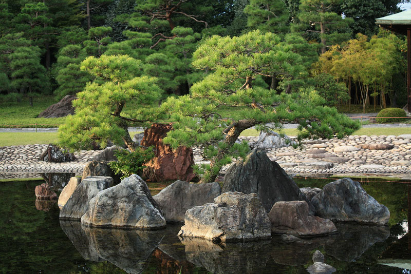 сады замка нидзё япония