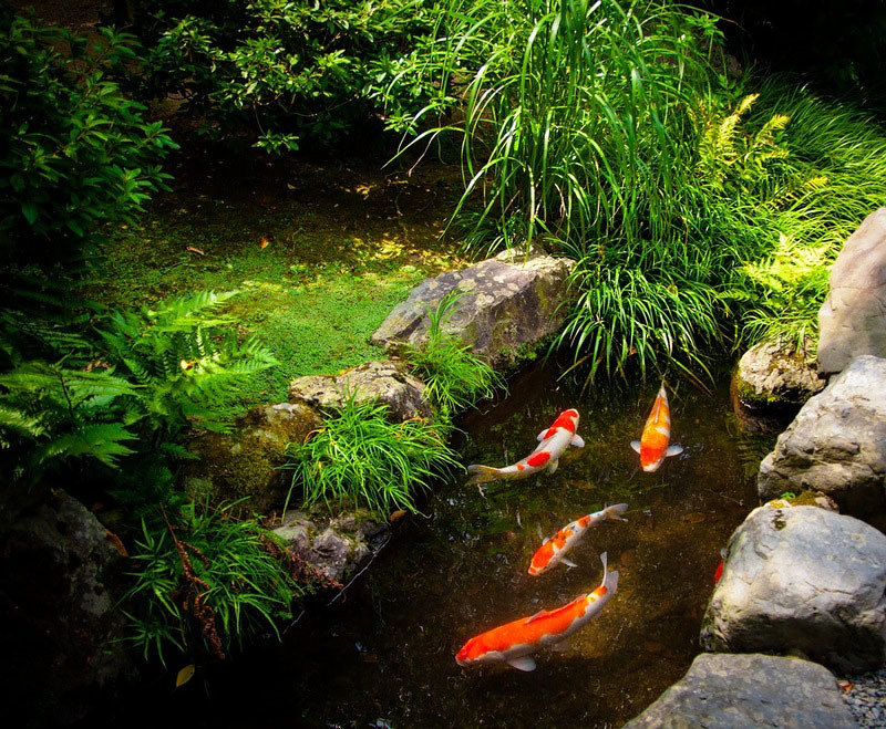 сады замка нидзё япония