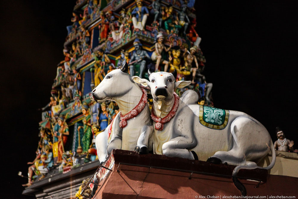 Чудесный Сингапур в свете ночи Сингапур ночью , фото , Свиссотель