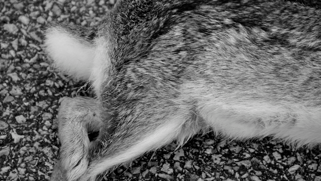 Описание, суеверий, разных стран мира, Пятница 13 -е, подкова, чешутся руки