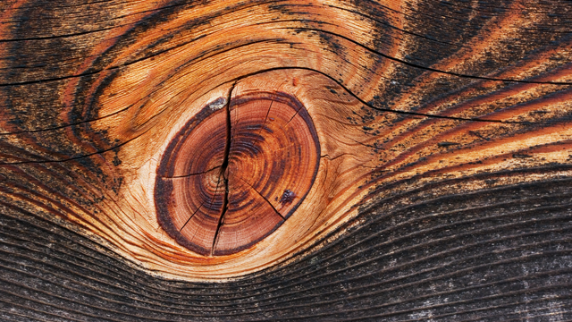 Описание, суеверий, разных стран мира, Пятница 13 -е, подкова, чешутся руки