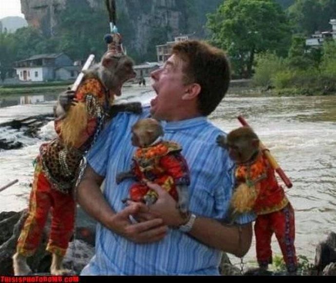 Смешное, задний план, испорченные фотографии, подборка