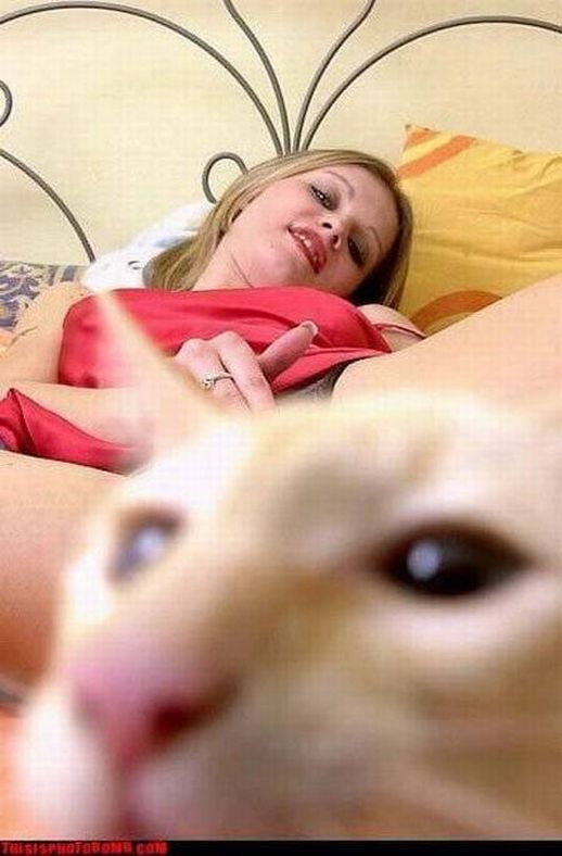 Смешное, задний план, испорченные фотографии, подборка