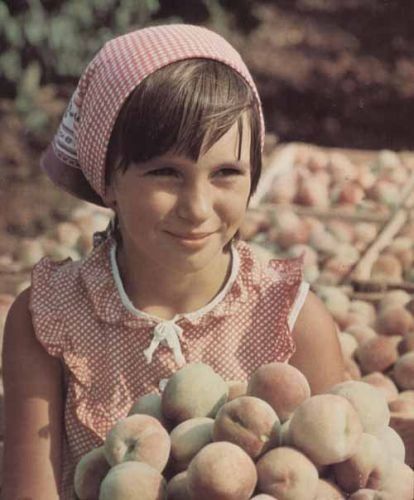 Сарказм, ужасы СССР, советская жизнь, тоталитаризм