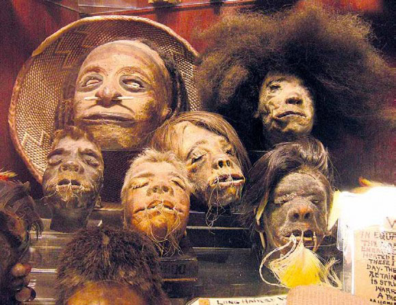 Детективная история, массовая поставка, настоящих, человеческих, голов, тсантса